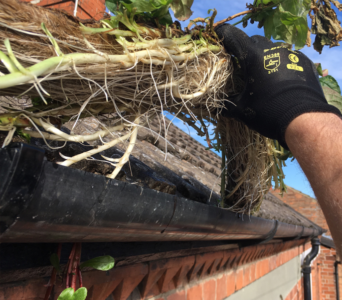 local gutter cleaners