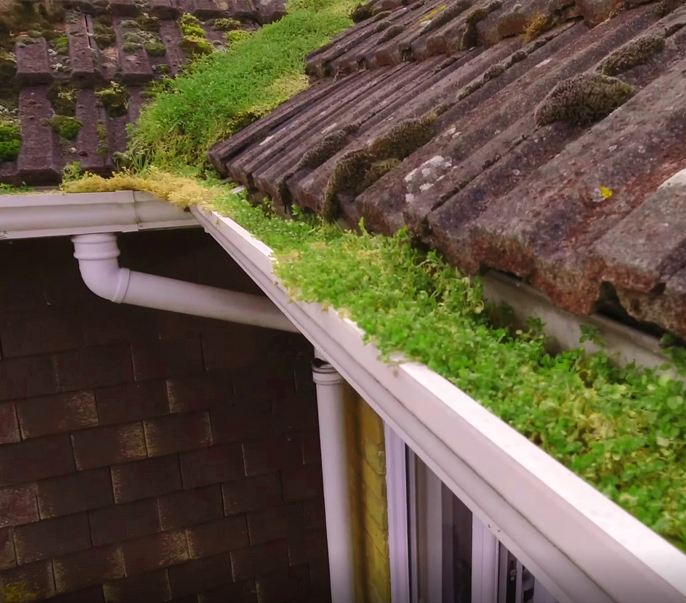eco-friendly gutter cleaning