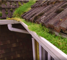 Gutter Cleaning Prices in Ireland